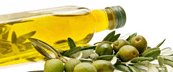 Olive Oil